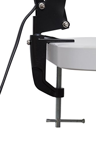 Maul Schreibtischlampe MAULstudy | Design Klemmleuchte mit Gelenkarm | Metall | verstellbare Bürolampe | Exklusive… – Bild 3