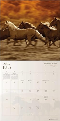 9781524891152 Spirit Horses 2025 Wall Calendar thumb #3