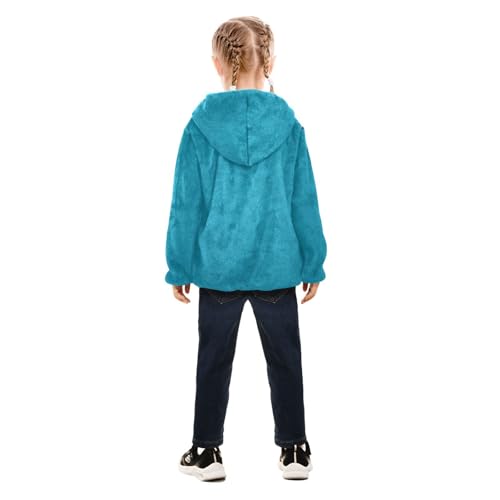 GuoChe Blue Texture Sherpa Jacket4