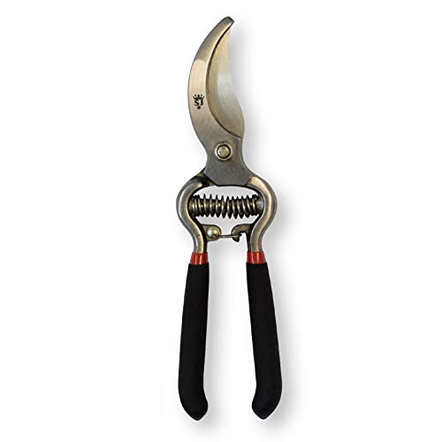 Set Vintage de Podadora y Tijeras Spear & Jackson miniatura 4
