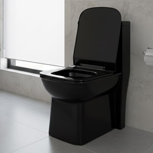 Image of KrissKross Premium Rimless Floor Mounted One Piece Water Closet Ceramic Western (Black)