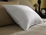 Restful Nights Trillium Standard Size 2-Pillow Set