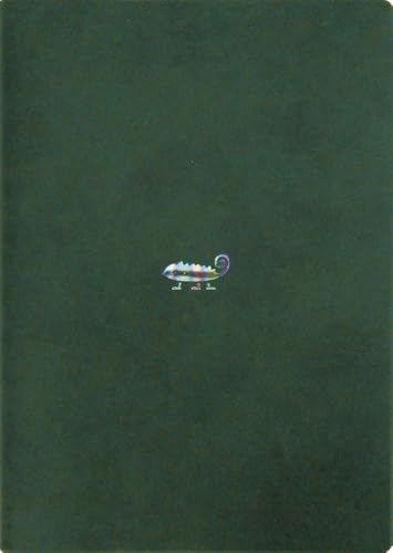 GR~\ }gJ 蒠 2026N 4n܂ B6 EB[N[ ubN |Cg JI DRWK732