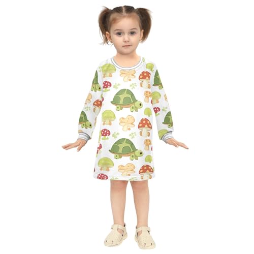 Mushroom Turtle Girls Dresses Long Sleeve Sweatshirt Dress for Girls Winter Toddler Casual A Line Dresses Size 2-8T4