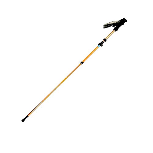 Bastón de trekking para evitar dolor de rodillas con carbono ajustable 1