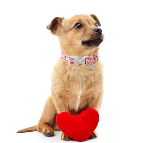 Image of Valentine's Day Dog Collar, Pink Heart Dog Collar with Quick Release, Valentine's Day Gift Pet Collar for Puppy Girl Boy Dog, Wedding Dog Collar