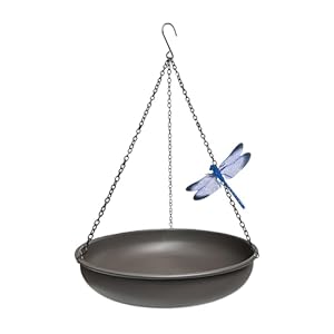 Hanging Bird Bath for Outside,11In Dark Curry Metal Bird Feeder Birdbath Bowl with 17”Rust-Proof Black Chains for Garden Backyard Decor with Magnetic Dragonfly Decor Hanging Bird Bath for Outside11In Dark Curry Metal Bird Feeder Birdbath Bowl with 17Rust Proof Black Chains for Garden Backyard Decor with Magnetic Dragonfly Decor