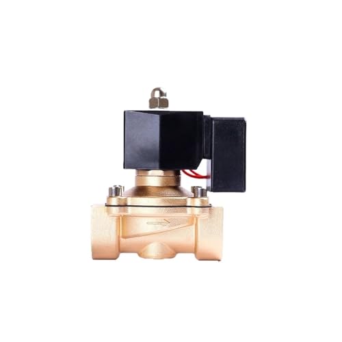 Électrovanne normalement fermée 1-1/4 acier inoxydable 12VDC joint Viton pour circuits fermés