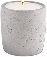 JW Marriott Rooted Candle: Sycamore, Sage, Cedarwood & Sandalwood Soy Wax in Concrete Jar - 2oz Hotel Exclusive