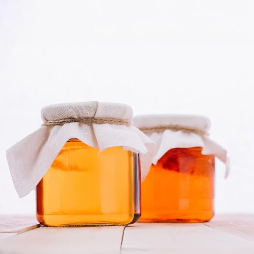 1 X Organic Kombucha Scoby - Live Culture by Scoby Kombucha