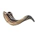 Shofar Kosher Ram Horn 14
