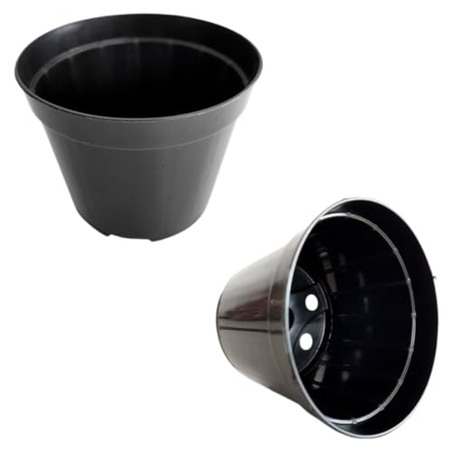 Kit 30 Vasos De Plantas Orquídeas Flores Pote 8 Decoração