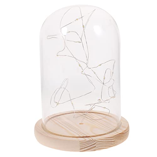 Alipis Led Glass Dome Table Lamp with Wooden Base Warm White Led String Lights Decorative Jar Lighting for Bedside Living Room and Party Centerpieces