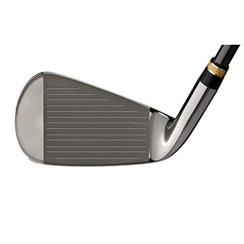 マルマン マジェスティ ロイヤル SP アイアン MAJESTY Royal SP IRON (番手：7.8.9.10.PW, シャフト：LV520 硬さ：R) 3枚目