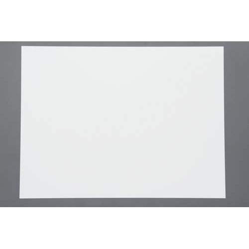 Amazon | ニチレイマグネット マグネスクリーン MS－9012