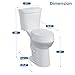 Two-Piece Toilet, 21