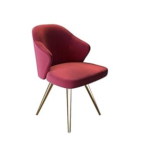 n/a Lumières, Chaise Salle à Manger Moderne Chaise Design Velvet Simple Casual Chaise Chaise Dossier Dressing (Color : A)
