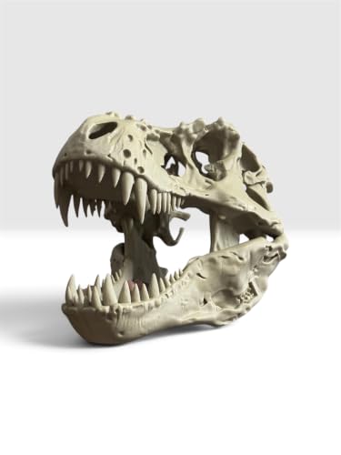 Image of 3D Printed T-Rex Dinosaur Skull Replica | Highly Detailed Tyrannosaurus Rex Fossil Model | Articulated Jaw | Desk & Shelf Decor | Paleontology Gift for Dino Lovers, Collectors & Home Display