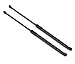 Produktbild Stabilus SET 2 Stück Heckklappendämpfer 018123 LIFT-O-MAT Kofferraum Gasfeder mit 380 Newton Dämpfer u.a. für VW Polo 9N1/9N3 2001-2007