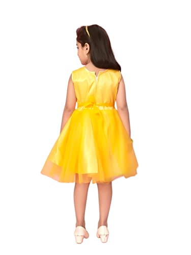 Image of Aarika Girls Yellow Colour Polyester Self Design Frock