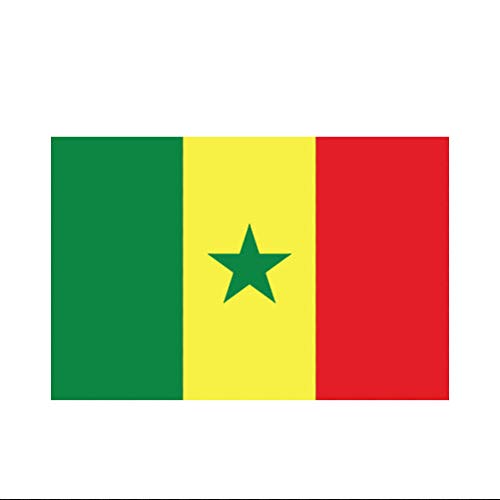 Imán decorativo bandera de Senegal rectángulo 5" miniatura 1