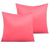 NTBAY Zippered Satin Square Throw Pillow Covers, 2 Pack Luxury Hidden Zipper Decorative Euro Pillowc