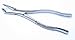BDEALS Extracting Forceps # 222 Dental Instruments Stainless Steel 1 Pc by Life gears