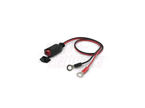 Carica batteria mantenitore piombo agm gel 6V 12V