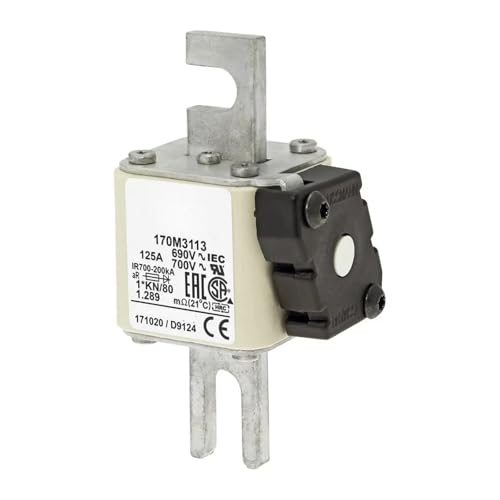 Fusible 170M3117 et série 170M3112 à 170M3123 de protection pour circuits électriques