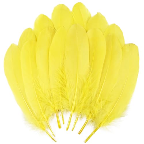 Yellow Feathers