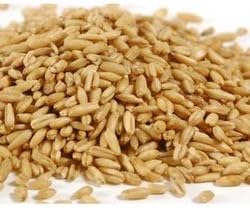 Grains Groats Not Roasted - Single Bulk Item - 25LB
