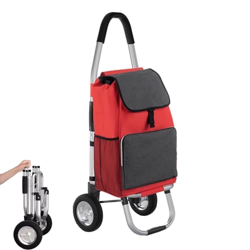 Carrello per la spesa con cestino rimovibile, capacità 36 l, carico 30 kg, carrello pieghevole per salire le scale, carrello per la spesa con ruote, per il trasporto di generi alimentari e picnic