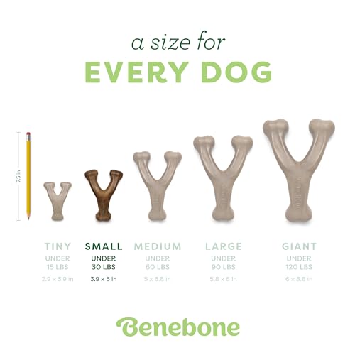 image for Benebone Wishbone Durable Dog Chew Toy for Aggressive Chewers, Real Ch