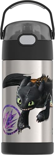 Image of THERMOS FUNTAINER Water Bottle with Straw - 12 Ounce - Kids Stainless Steel Vacuum Insulated Water Bottle with Lid, How To Train Your Dragon