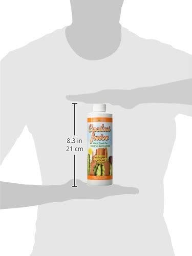 Grow More 3130 Cactus Juice 1-7-6, 16 Fl. Oz. (Pack of 2)
