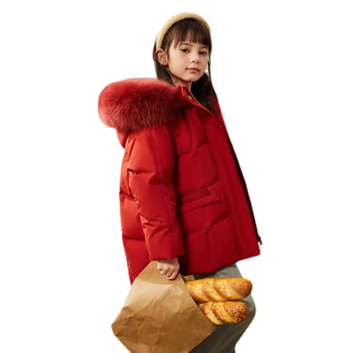 [kzzkoo] _ER[g LbY ̎q h H~ y ۉ ʊw LbY WjA AE^[ ~ q 120~160cm _EWPbg O h ubN Cbh p[v x[W (bh,140)