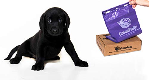 GreenPolly Pet Waste and Dog Poop Bags, 250 Count, Made with 100% Renewed Material, Durable, Purple, Fits in Standard Park Dispensers
