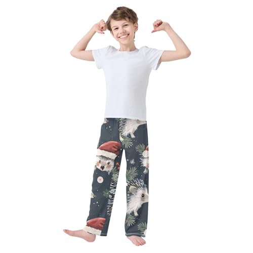 ZZXXB Hedgehog Xmas Berry Boys Long Pants Soft Trousers Elastic Waist Kids Lounge Bottoms with Pockets S-XL2