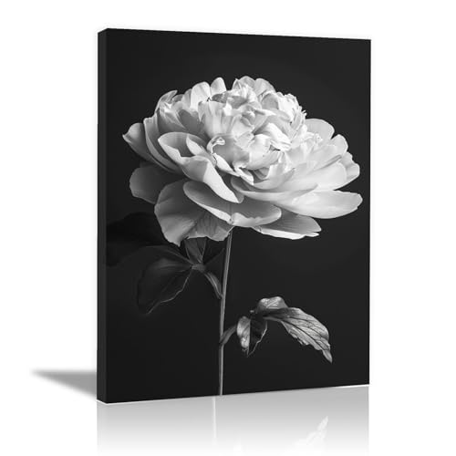 Peinture d'art fleur noir et blanc moderne sur toile WODJEM 40x60cm encadrée