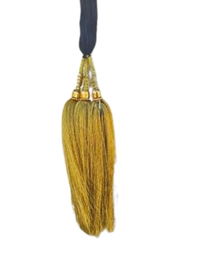 Patiala Shahi Paranda with Gold Hangings