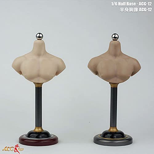 Amazon.co.jp: 【Tbmodel 】ACGTOYS 1/6 フィギュア 男性 バスト