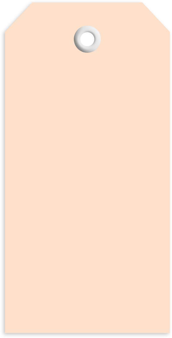 HERMA - étiquette à suspendre, 45 x 90 mm, support pour colis marron, avec oeillet en plastique, en