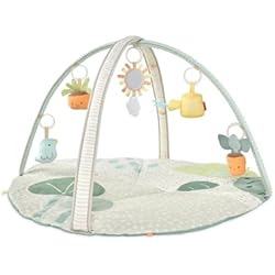 Amazon.com: Skip Hop Baby Play Gym Garden Oasis Green Multi and