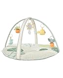 Skip Hop Tummy Time Mat, 3-in-1 Activity Baby Play Gym, Age 0-2y, Garden Oasis, Green Multi