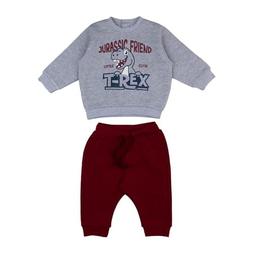 Prénatal, Completo Tuta Neonato Felpata a Tema Dinosauri, Pantalone Lungo e Felpa in Morbido Cotone, Abbigliamento Bambino