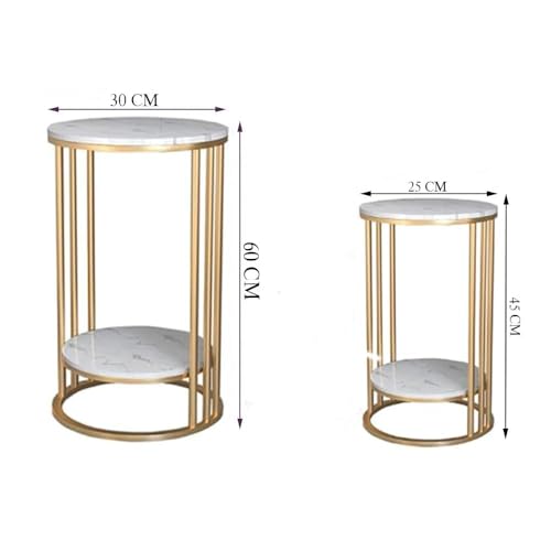 Image of Plant Stand Indoor Outdoor Metal, 2-Tier Modern Plant Shelf, Corner Flower Pot Holder, Plant Stand Table for Living Room Balcony Patio Garden Entryway Set Of 2 (Gold & Black)