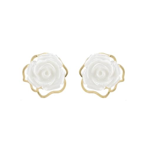 [Y CO RC Ȃ mz[sAX ɂȂ KN t[sAX  zCg[Y