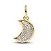 HuooNew Shooting Star & Heart Dangle Charm 925 Sterling Silver for Bracelets and Necklaces Fashion DIY Jewelry Gifts for Women (Sparkling Crescent Moon Dangle Charm 1891)