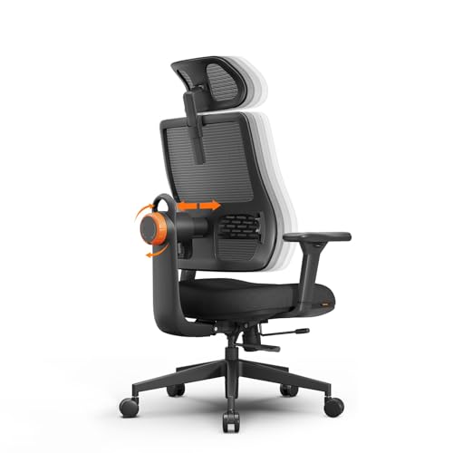 Newtral Ergonomic Office Chair with Adaptive Lumbar Support- High...