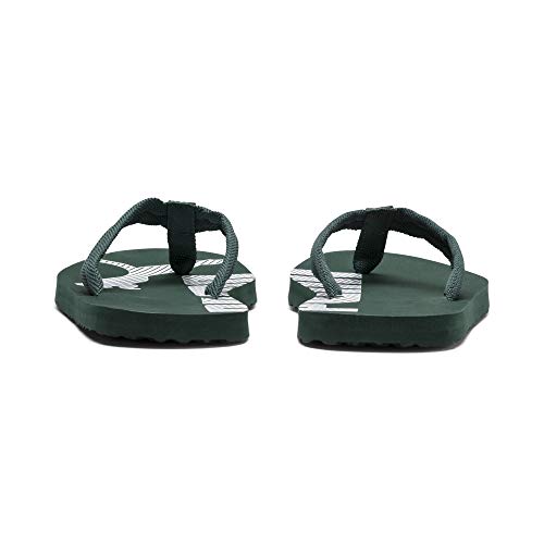 Image of PUMA Epic Flip V2 Synthetic Slipon Womens Athleisure Flip Flops